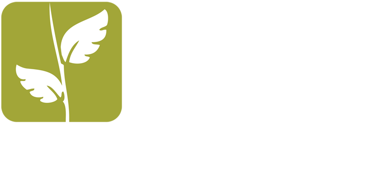 The Little Cabin Company